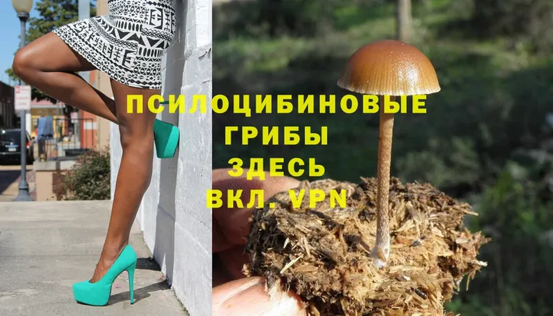 Галлюциногенные грибы Magic Shrooms  Верещагино 